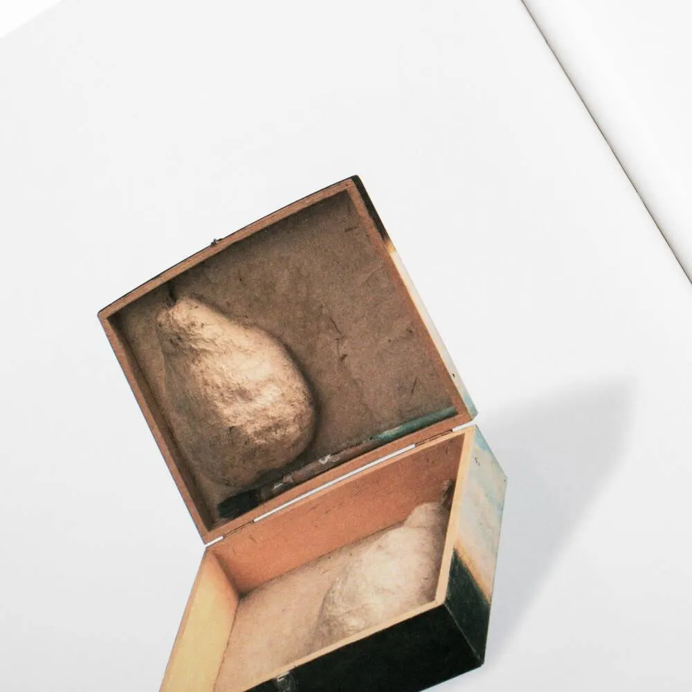 Carol Anthony: Paintings, Prints   Constructions 1975–2015