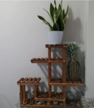 Wooden Tabletop Plant Stand Works for Indoor Living Room or Outdoor Garden Balcony. Multi-Layer Space for Your Favorite Plants
